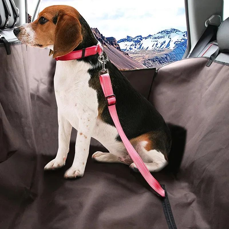 Adjustable Dog Car Seat Belt